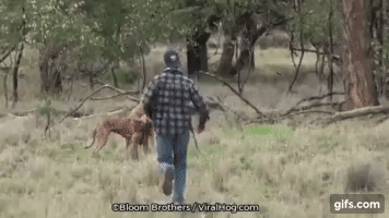 Wnp3RQ@small.gif