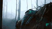 prey-predator.gif