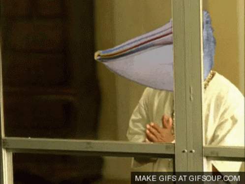 pelican-birdman.gif