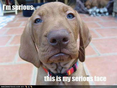 serious%2Bface.jpg