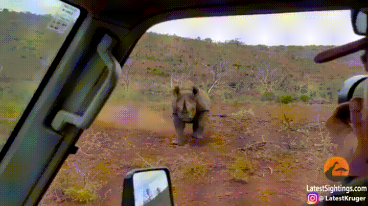 source.gif