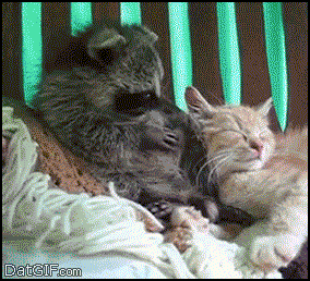 7Wkns4d.gif