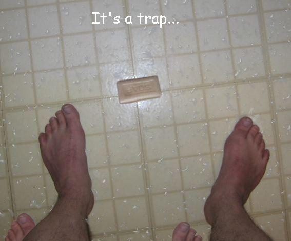 trap01.jpg