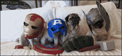 tumblr_n2e4vnjwyU1r2lthuo1_400.gif