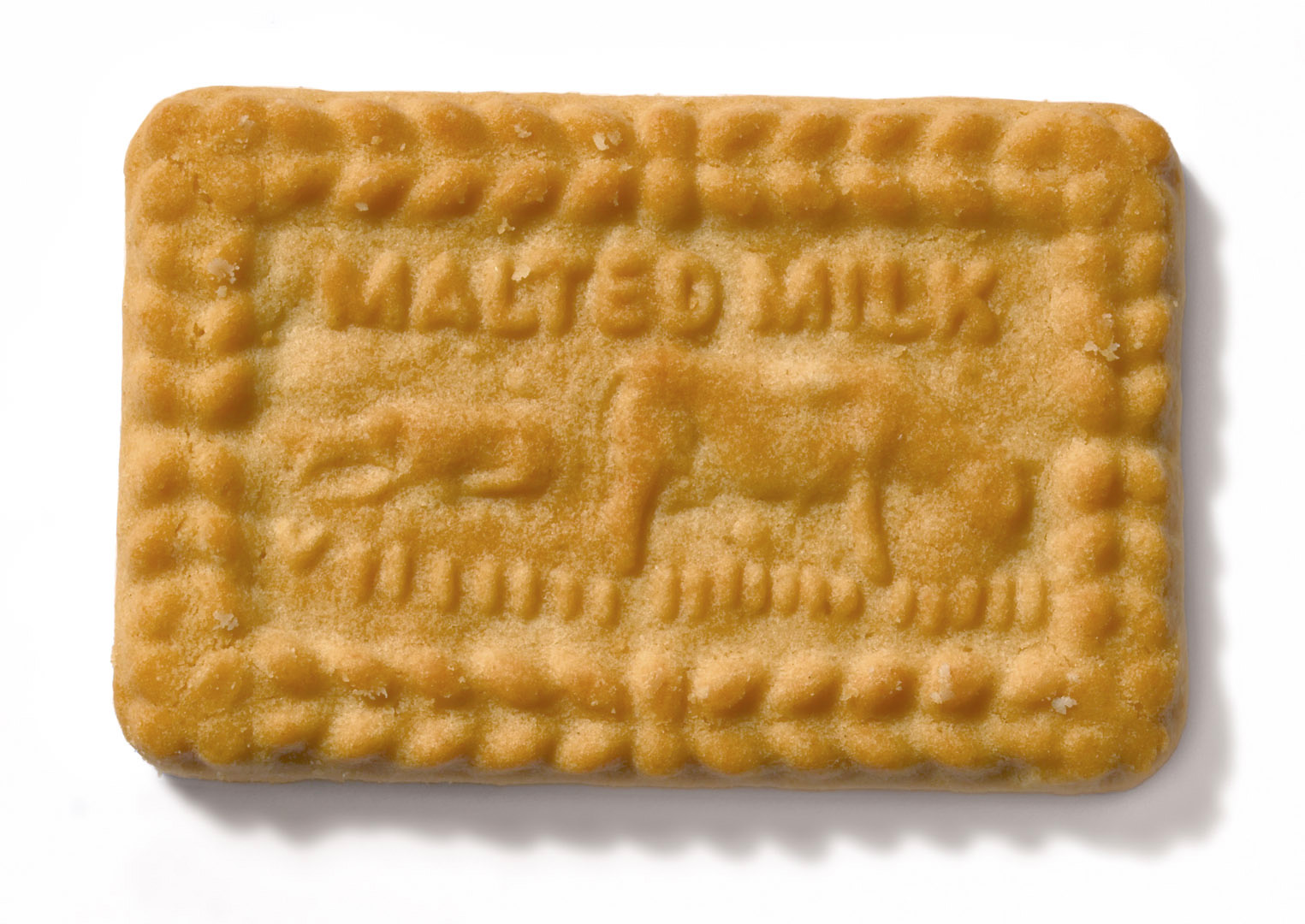 Malted_Milk_biscuit.jpg