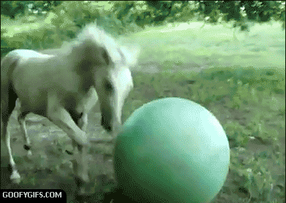 DLfnvwYnDZnVK.gif