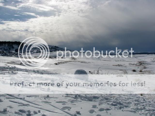 IMG_5689.jpg