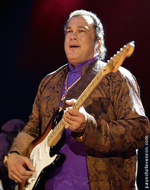 seagal-guitar-300x380.jpg