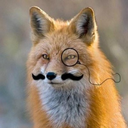 avatar_8c066302be4d_128.png