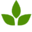 www.olivastu.com