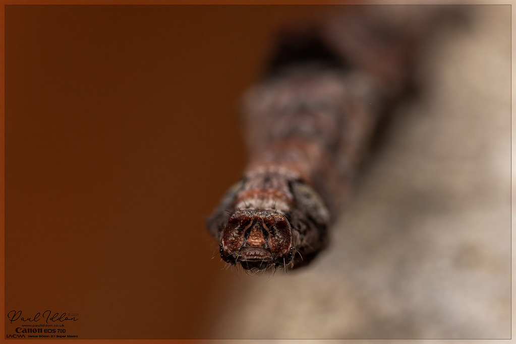 livingstick02_4k_1800-XL.jpg