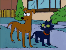 the-simpsons-cat.gif