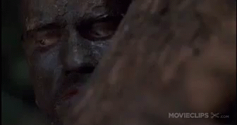 predator-arnold-schwarzenegger-hiding-jv2dm3x1525qtdra.gif