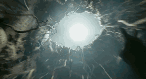 20817655.gif