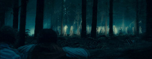 tumblr_mhmbm4gBrT1r6sn0no1_500.gif