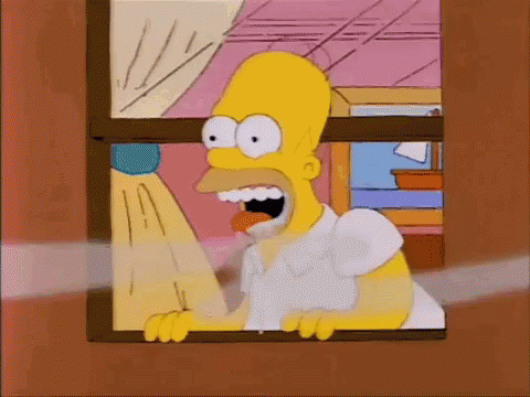homer-the-simpsons.gif