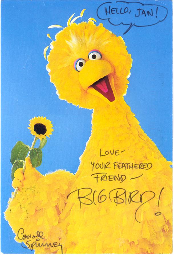 BigBird.jpg