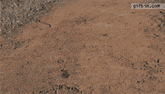 tumblr_m7825bleIG1rqz8qx.gif