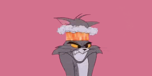 catcatcatcatfirehead.gif