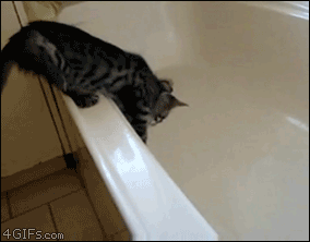 tumblr_nlg0wuoUvK1uqtnb5o1_400.gif