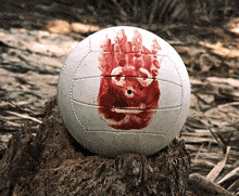 wilson.gif