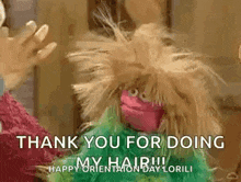 muppetwiki-muppet-wiki.gif