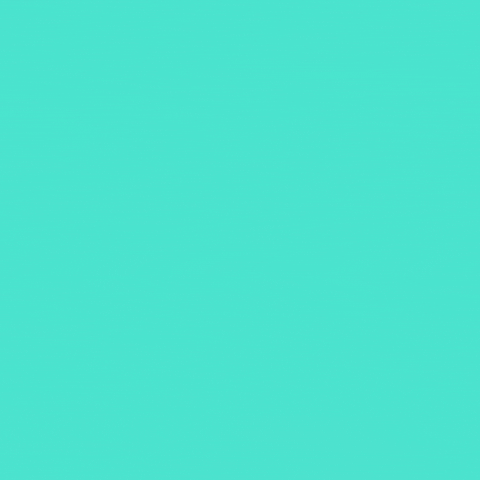 giphy-downsized-large.gif