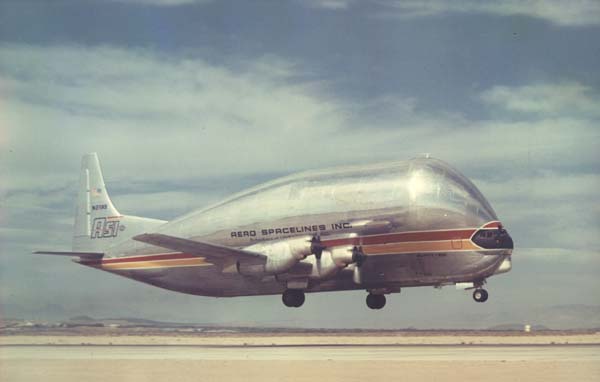 guppy54.jpg
