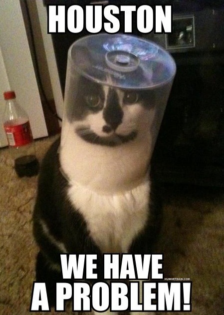 tumblr_m7ipauWHCw1r0wqrdo1_500.jpg
