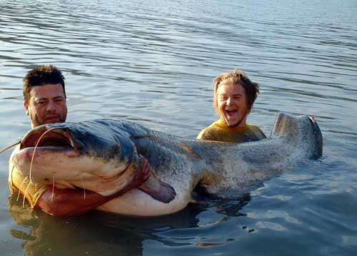 bigfish2.jpg