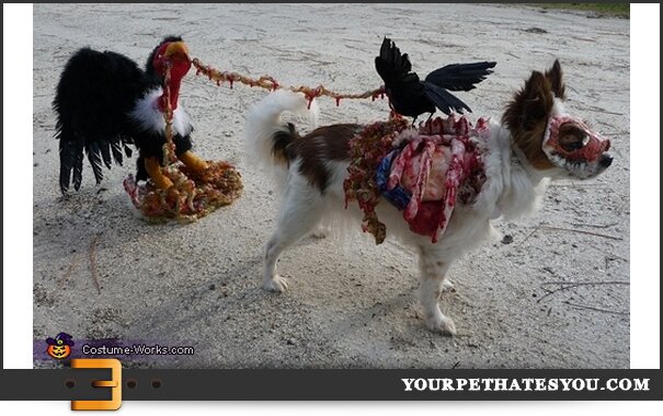 homemade-zombie-dog-costume.jpg
