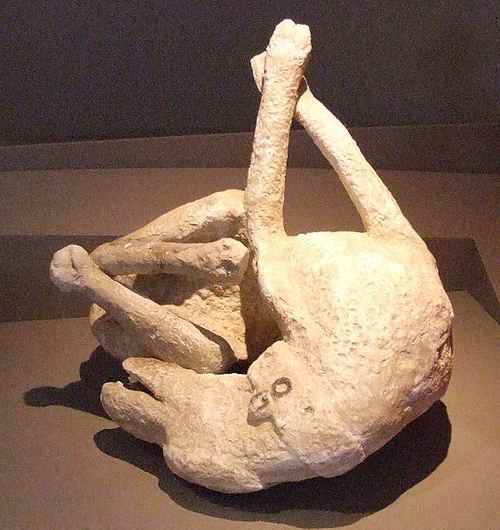 pompeii-dog01.jpg