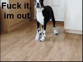 tumblr_lzxt5nxc1v1rq6rsvo1_400.gif