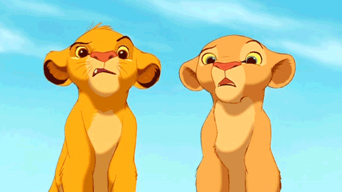 huh-the-lion-king.gif