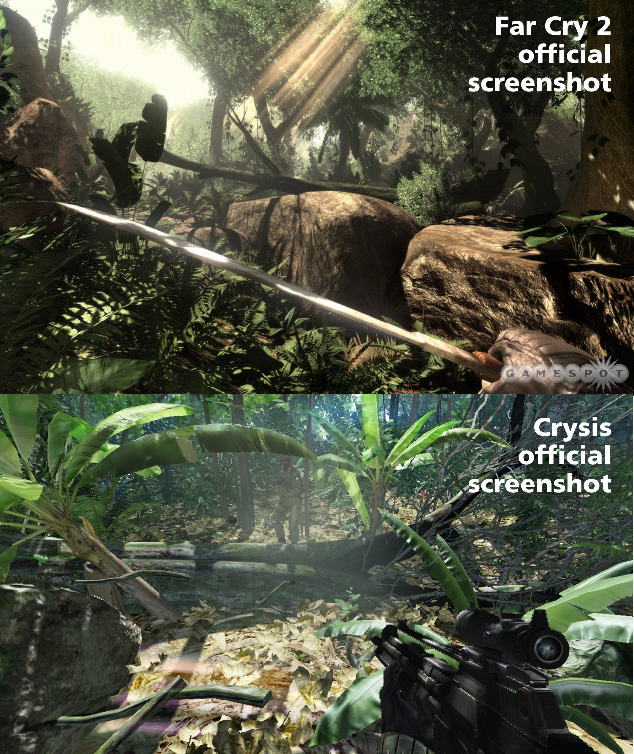 Crysis_Far_Cry2_jungle_1.jpg