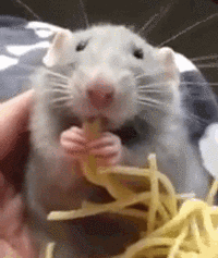00193106a56ff23d7ff796f2b714c552_w200.gif