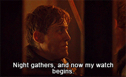tumblr_n6yhi9FFqQ1rnmqleo1_250.gif