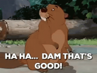 eae198c6a2d802118e3e84fb55a810bf.gif