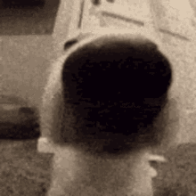 hi-deniz-deniz.gif