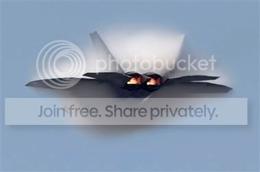 f22.jpg