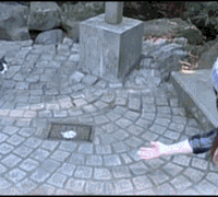 tumblr_n569d7KCG71sbly9go1_250.gif