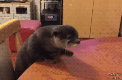 z.gif