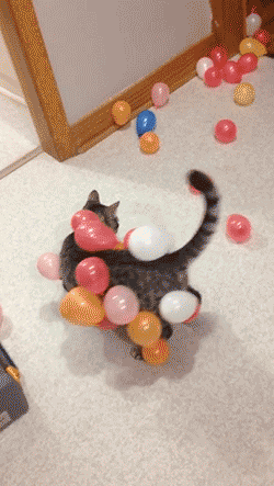 tumblr_nm3crbJMAB1s02vreo2_400.gif