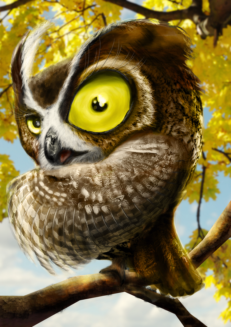 crazy_owl_by_wex4u-d4lt1rd.png