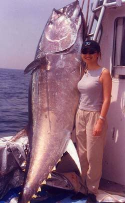 huge20tuna8mj.jpg