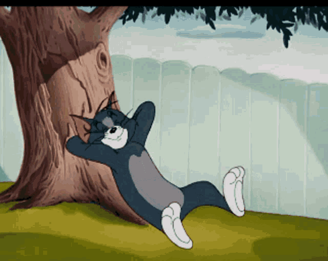 f11441557c6ff5442e4c190dceb8d3bb.gif