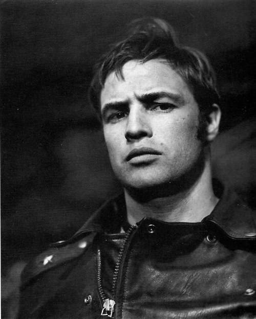 Marlon-Brando-marlon-brando-32299515-500-624.jpg