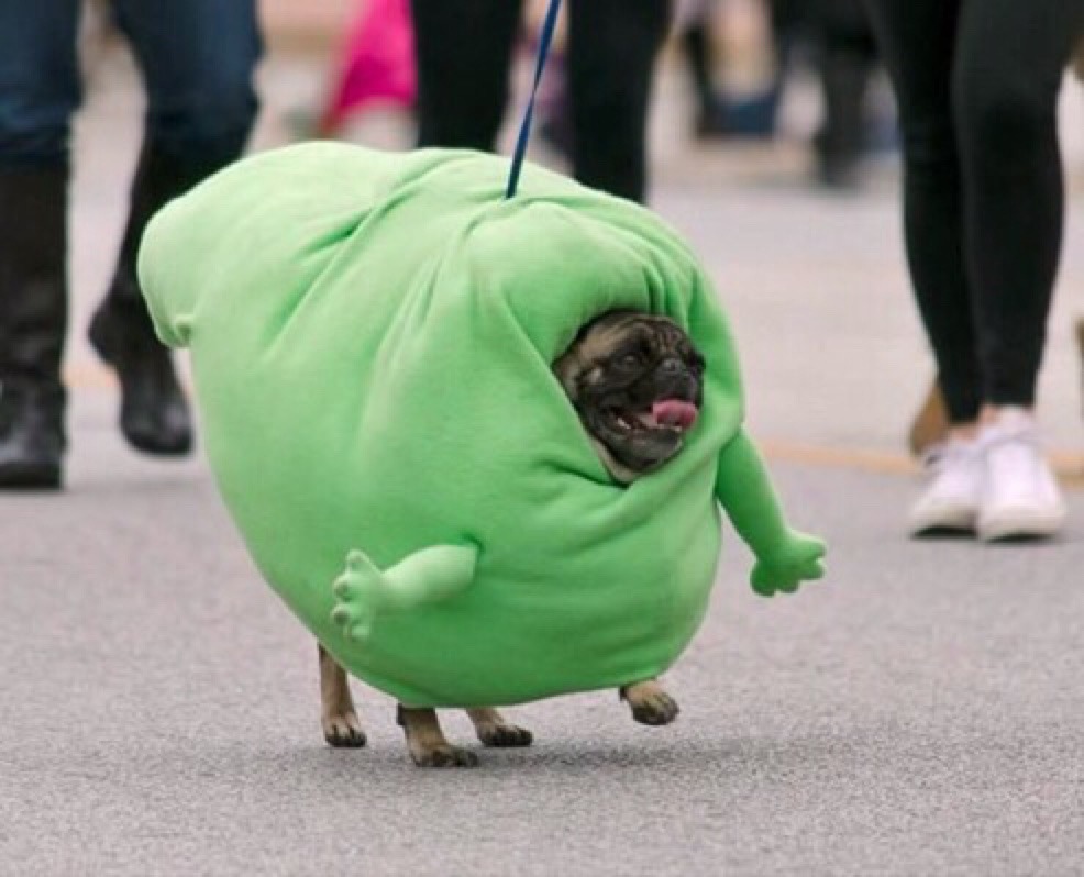 tumblr_nxz95uovc11um74b4o1_1280.jpg