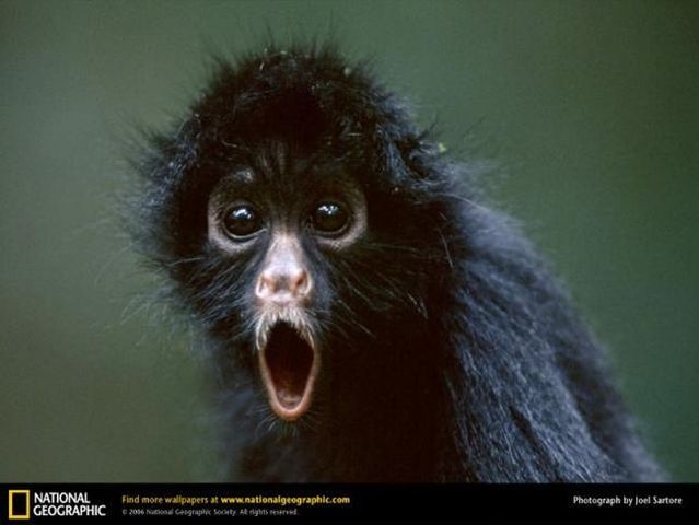 national_geographic_00.jpg