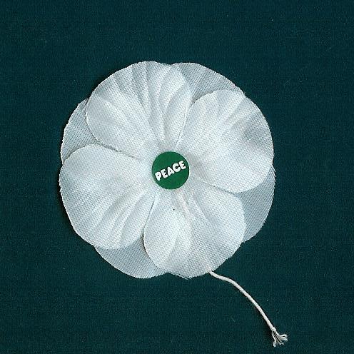 whitepoppy2.jpg